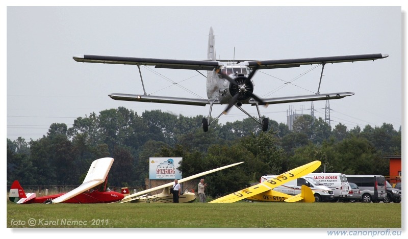 Vintage Glider Club Rally 2011