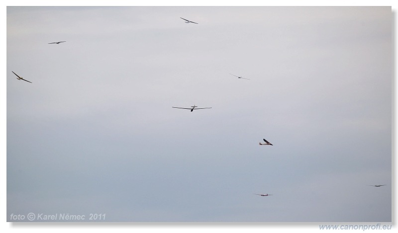 Vintage Glider Club Rally 2011