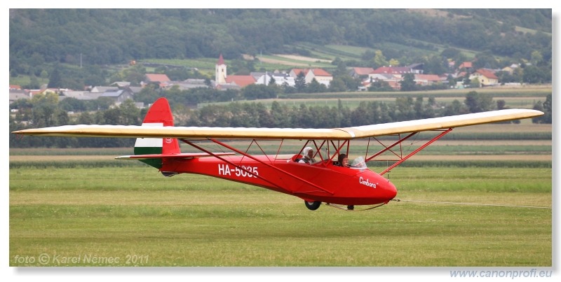 Vintage Glider Club Rally 2011