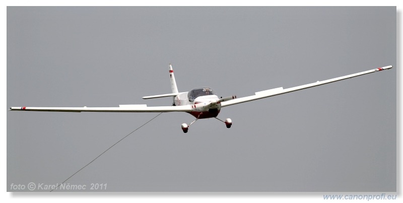 Vintage Glider Club Rally 2011