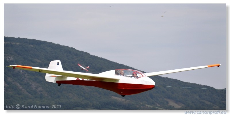 Vintage Glider Club Rally 2011