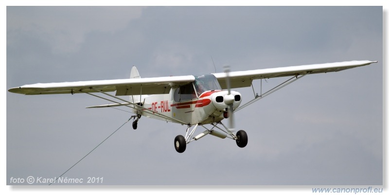 Vintage Glider Club Rally 2011