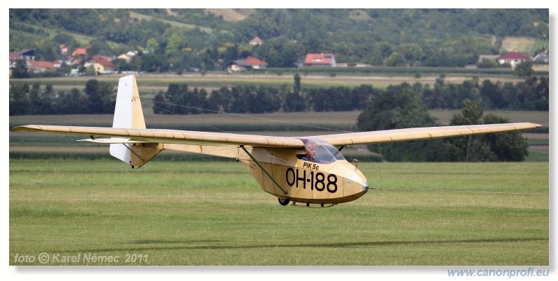 Vintage Glider Club Rally 2011