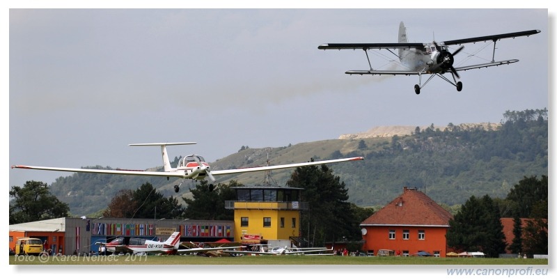 Vintage Glider Club Rally 2011