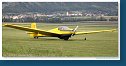 Scheibe SF 25C Falke - OE-9086 